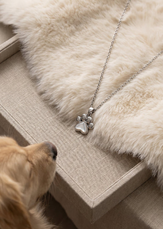 Keepsake Jewellery | Memorial Jewellery | Ashes to Jewellery | Pet Fur Jewellery | Pet Ashes | Singapore